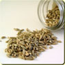 funnel seeds