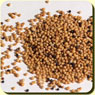 mustard seeds